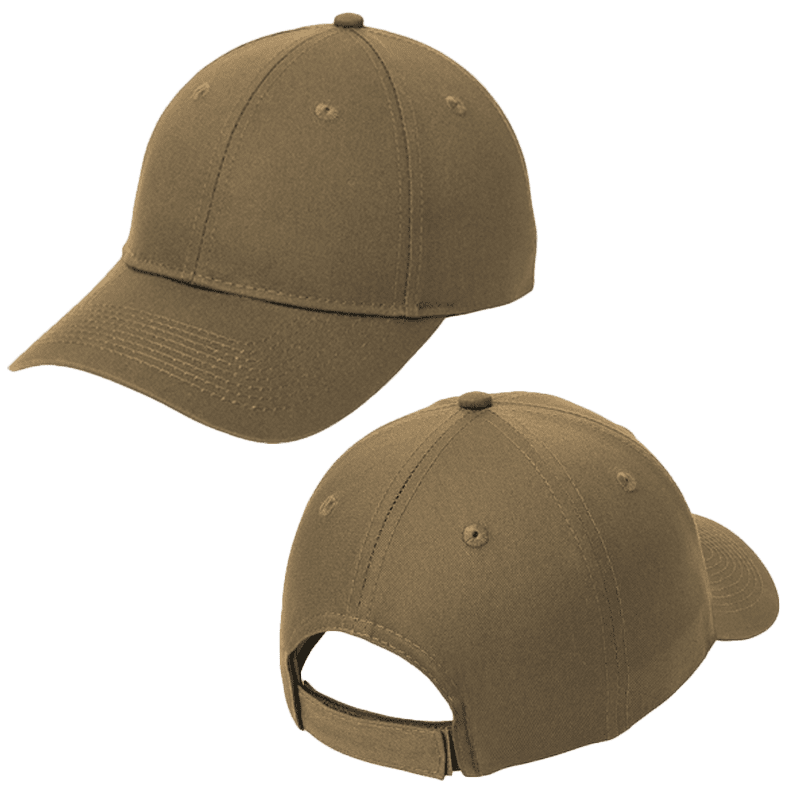 Coyote Brown